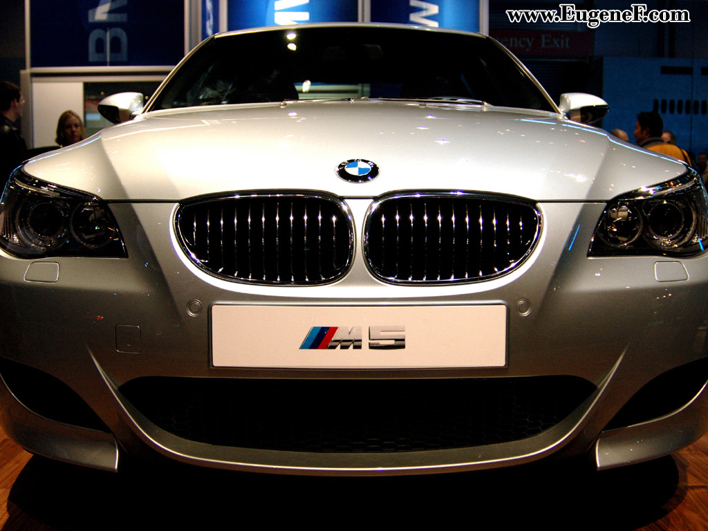Auto show chicago 7