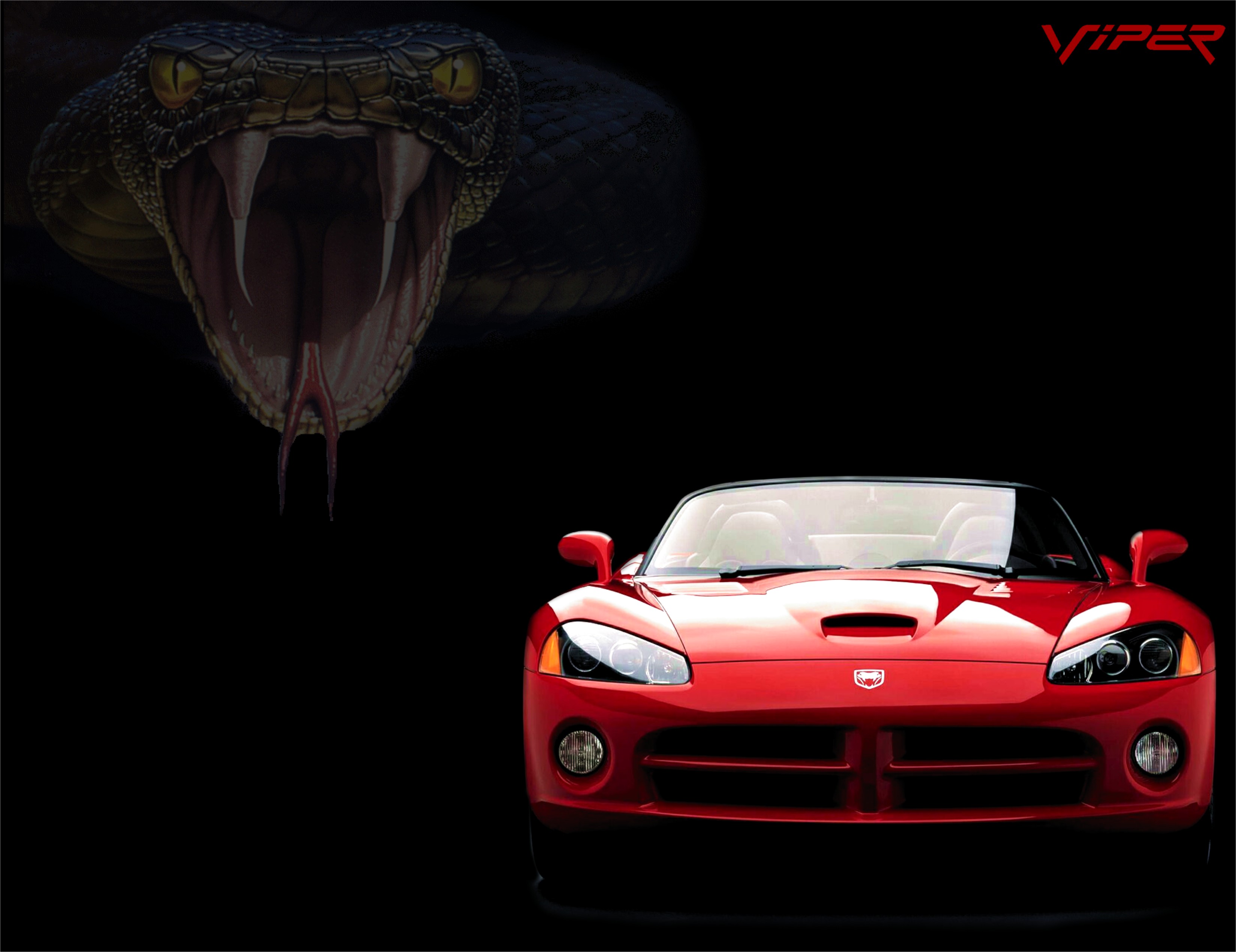 Dodge 8