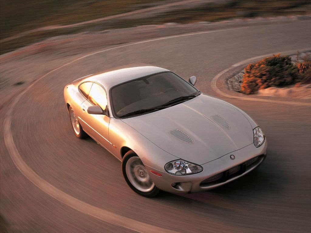 Jaguar 1