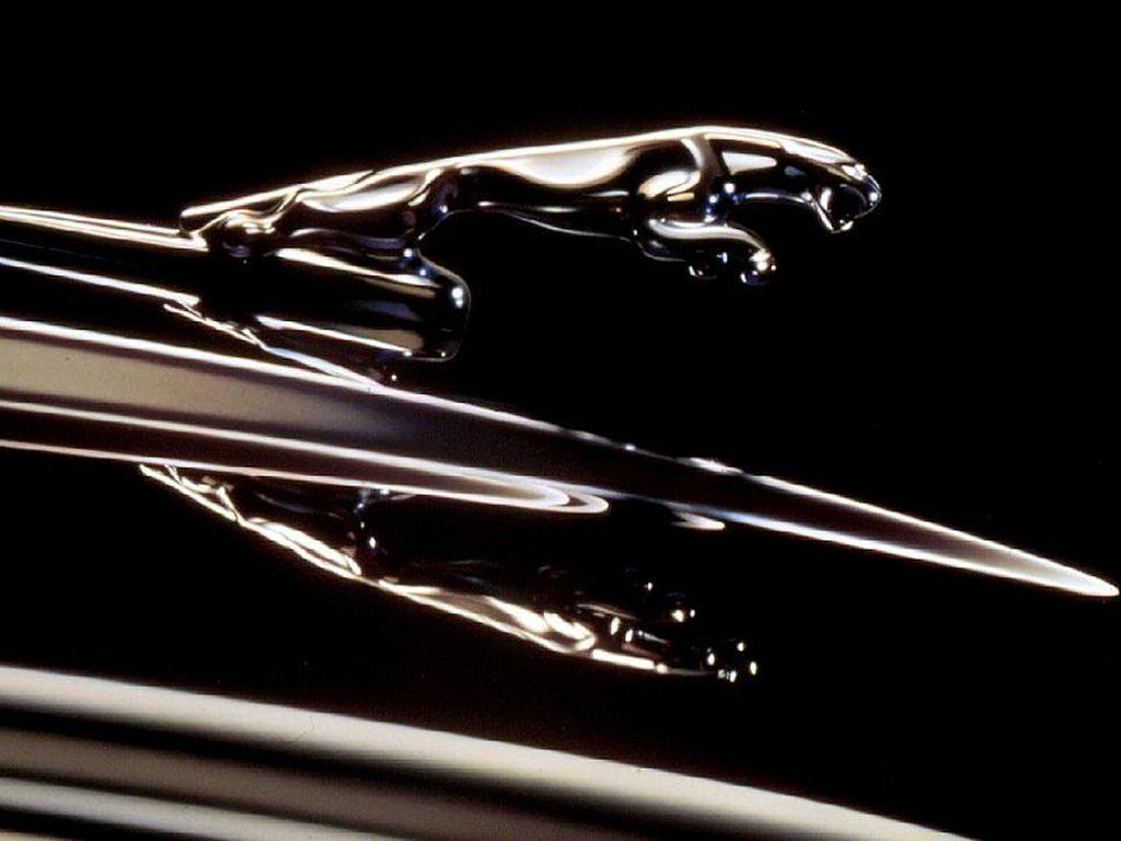 Jaguar 9
