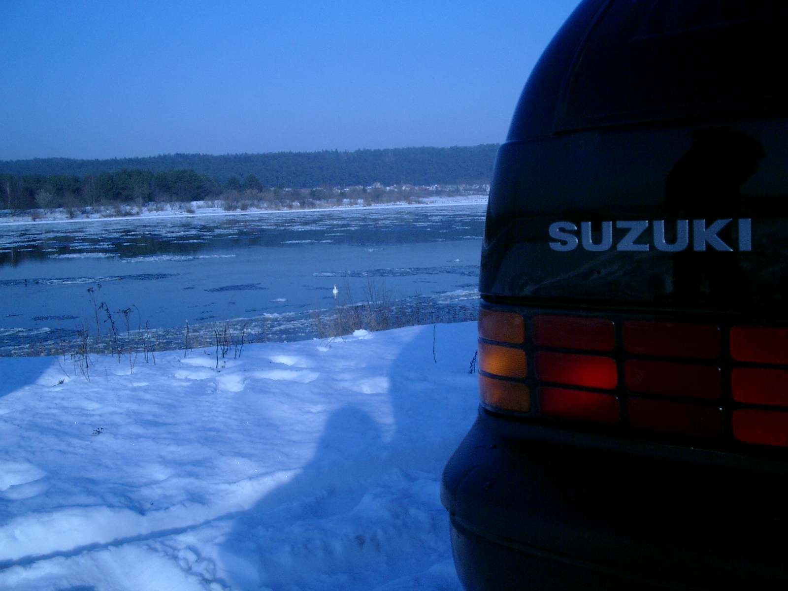 Suzuki 1