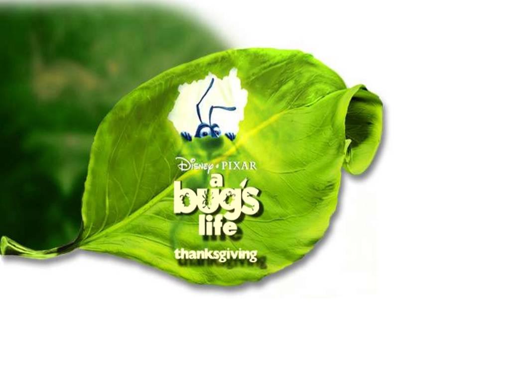 A bugs life 6