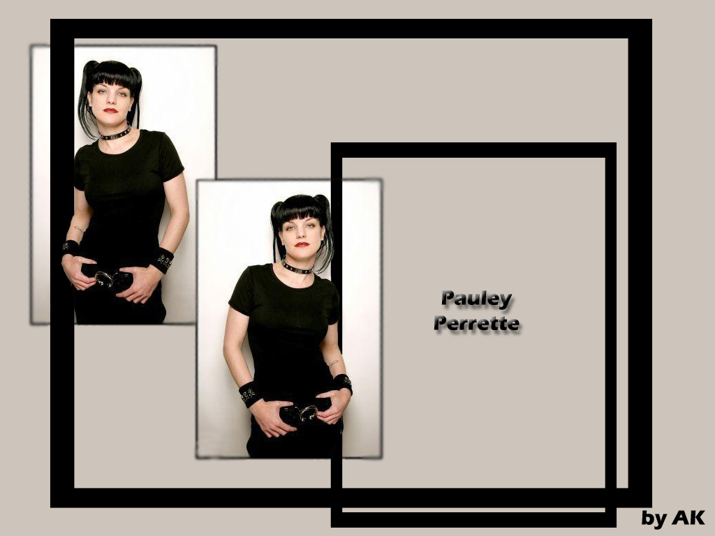 Pauley perrette 5