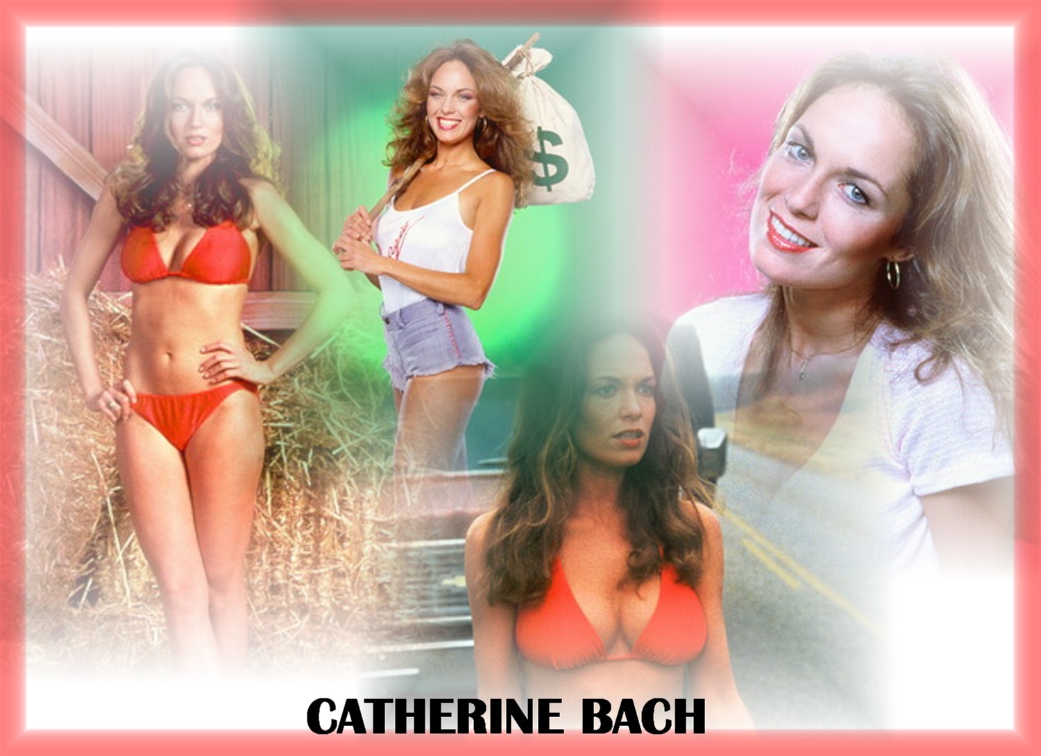 Catherine bach 1