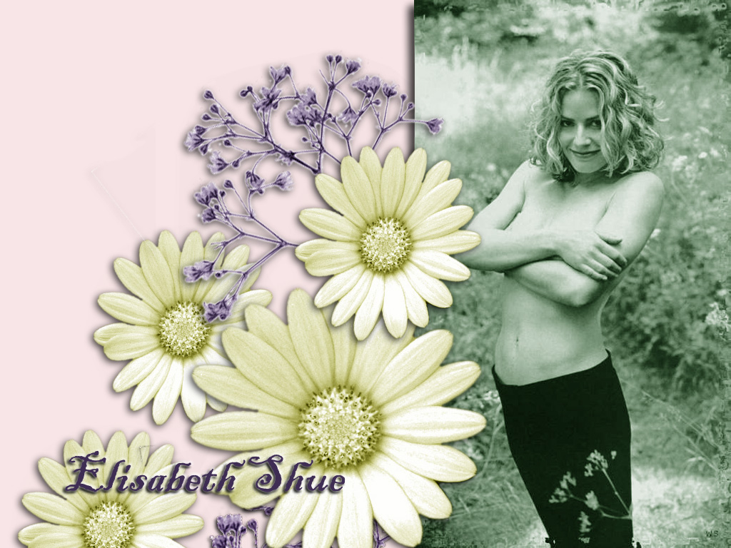 Elisabeth shue 5