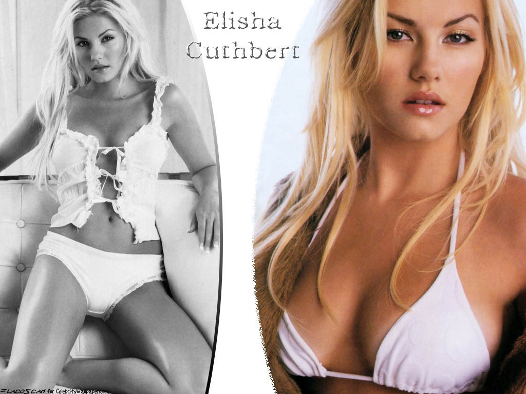 Elisha cuthbert 13