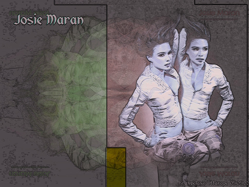 Josie maran 24
