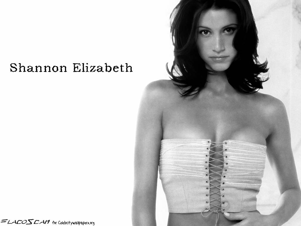 Shannon elizabeth 8