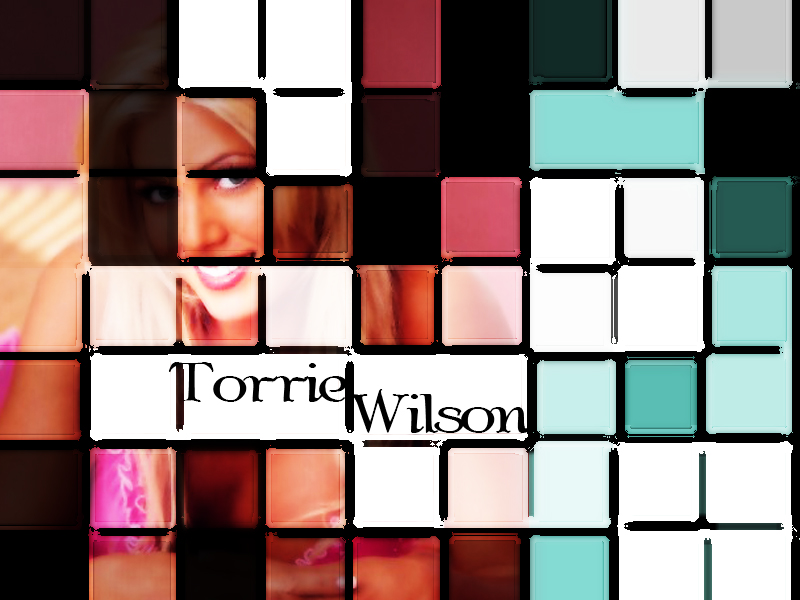 Torrie wilson 7
