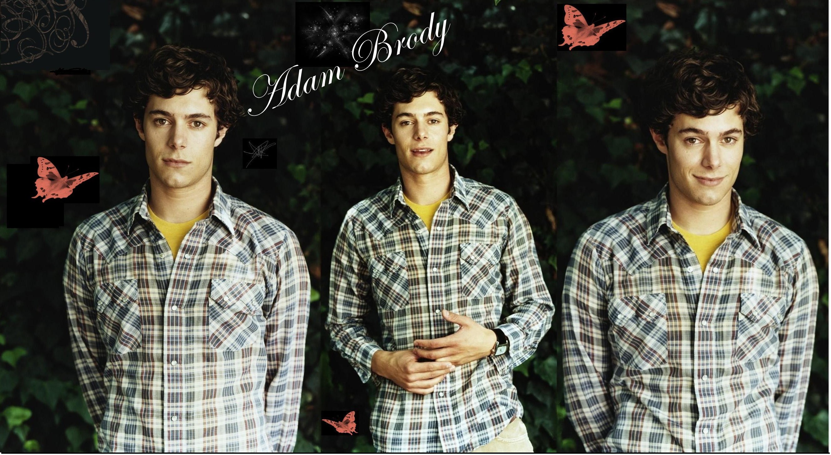 Adam brody 1