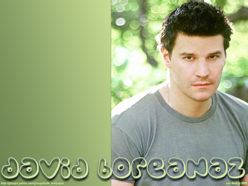 David boreanaz 5