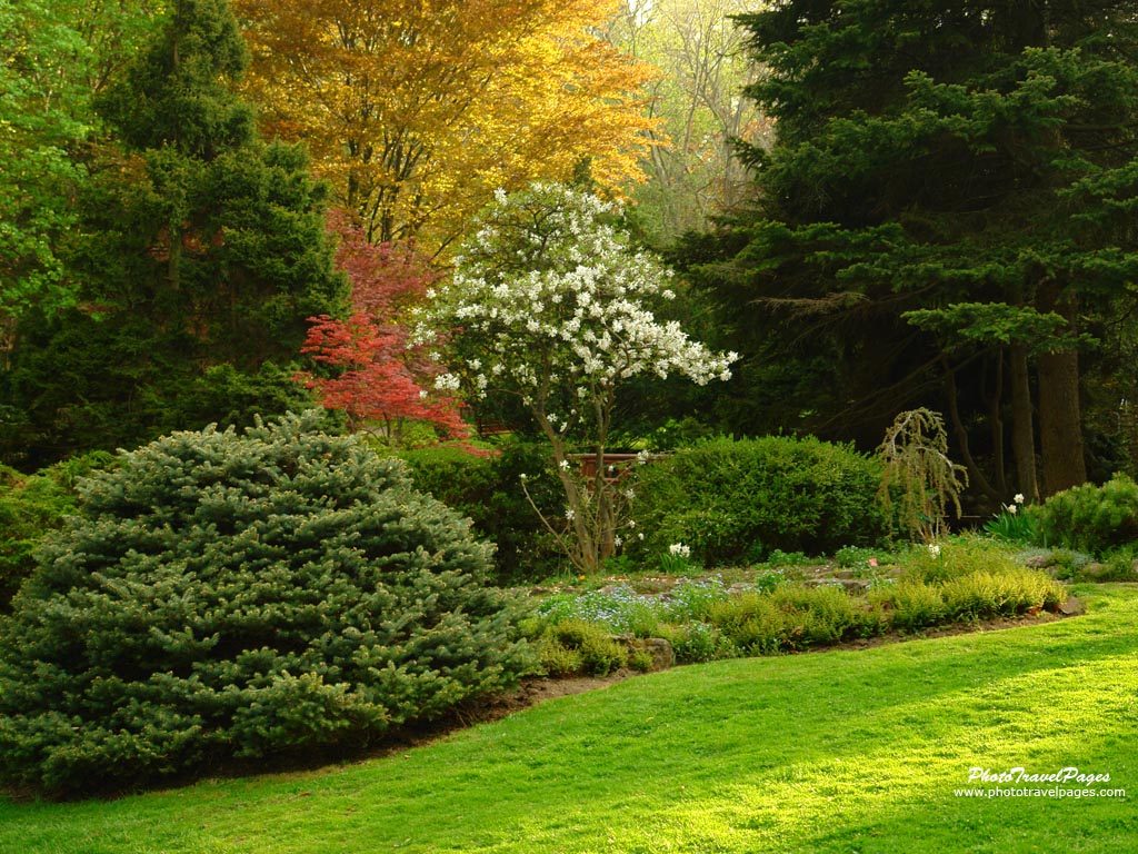 gardens_4.jpg