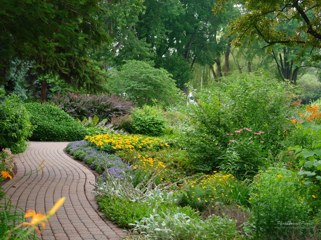 Beautiful Garden Landscape