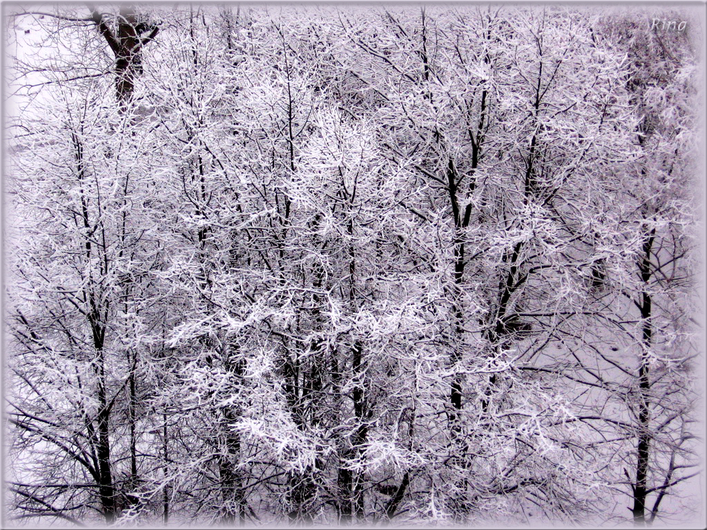 Winter scene 22