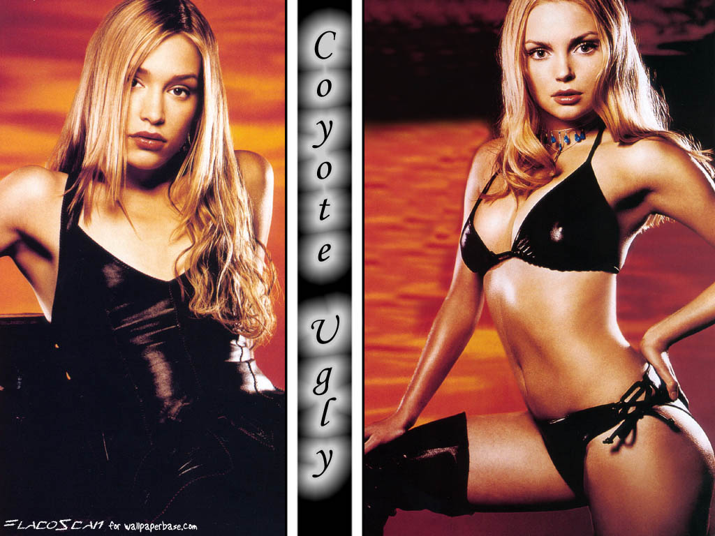 Coyote ugly 1