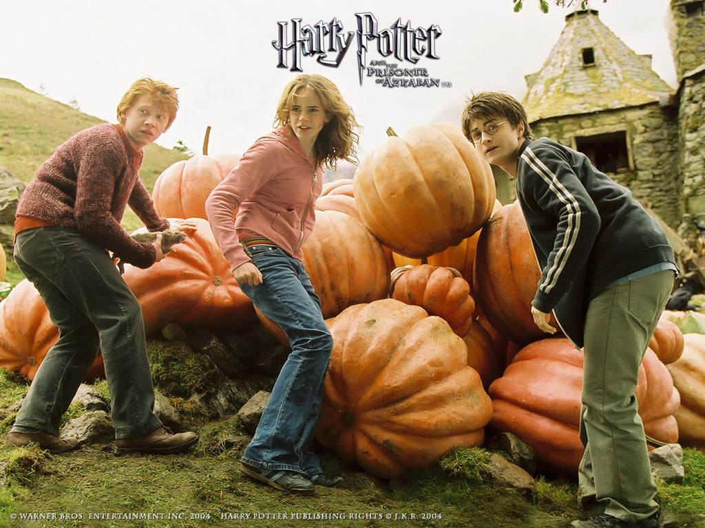 term paper on harry potter term paper on harry potter