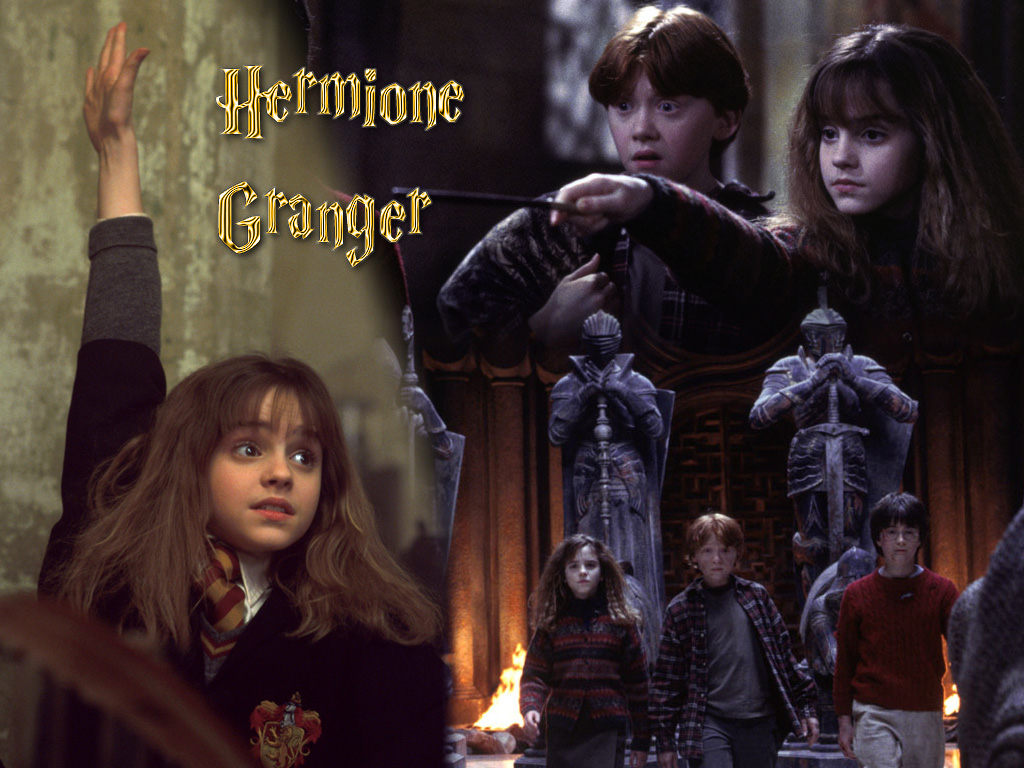 Harry potter 16