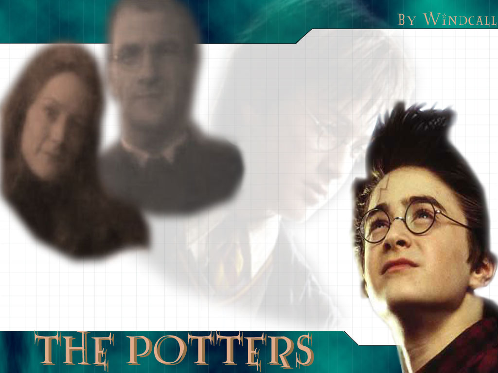 Harry potter 31