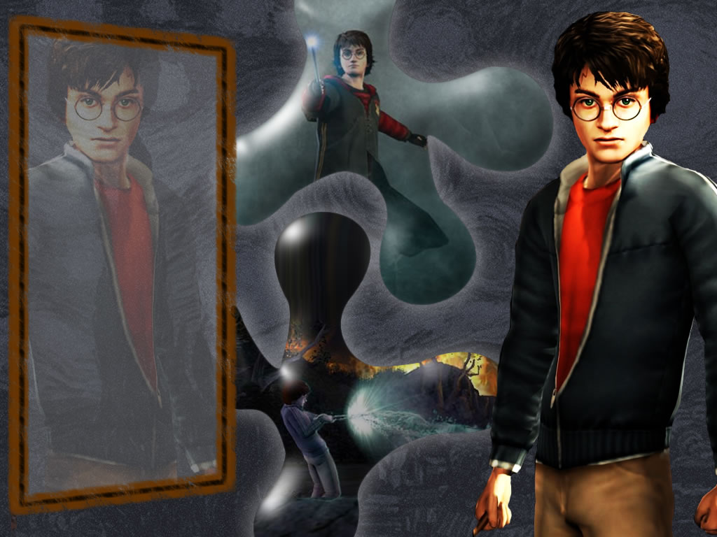 Harry potter 50