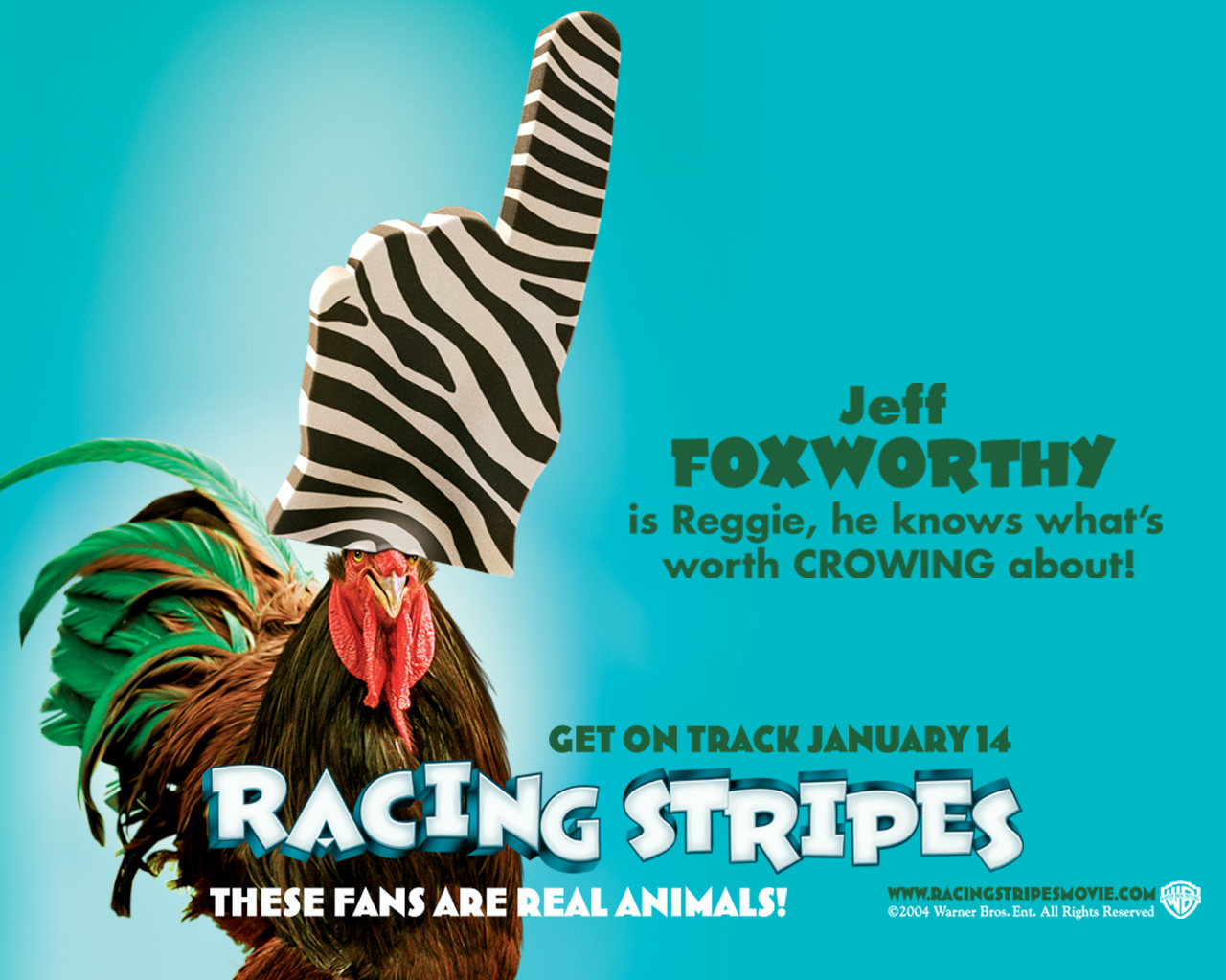 Racing stripes 2