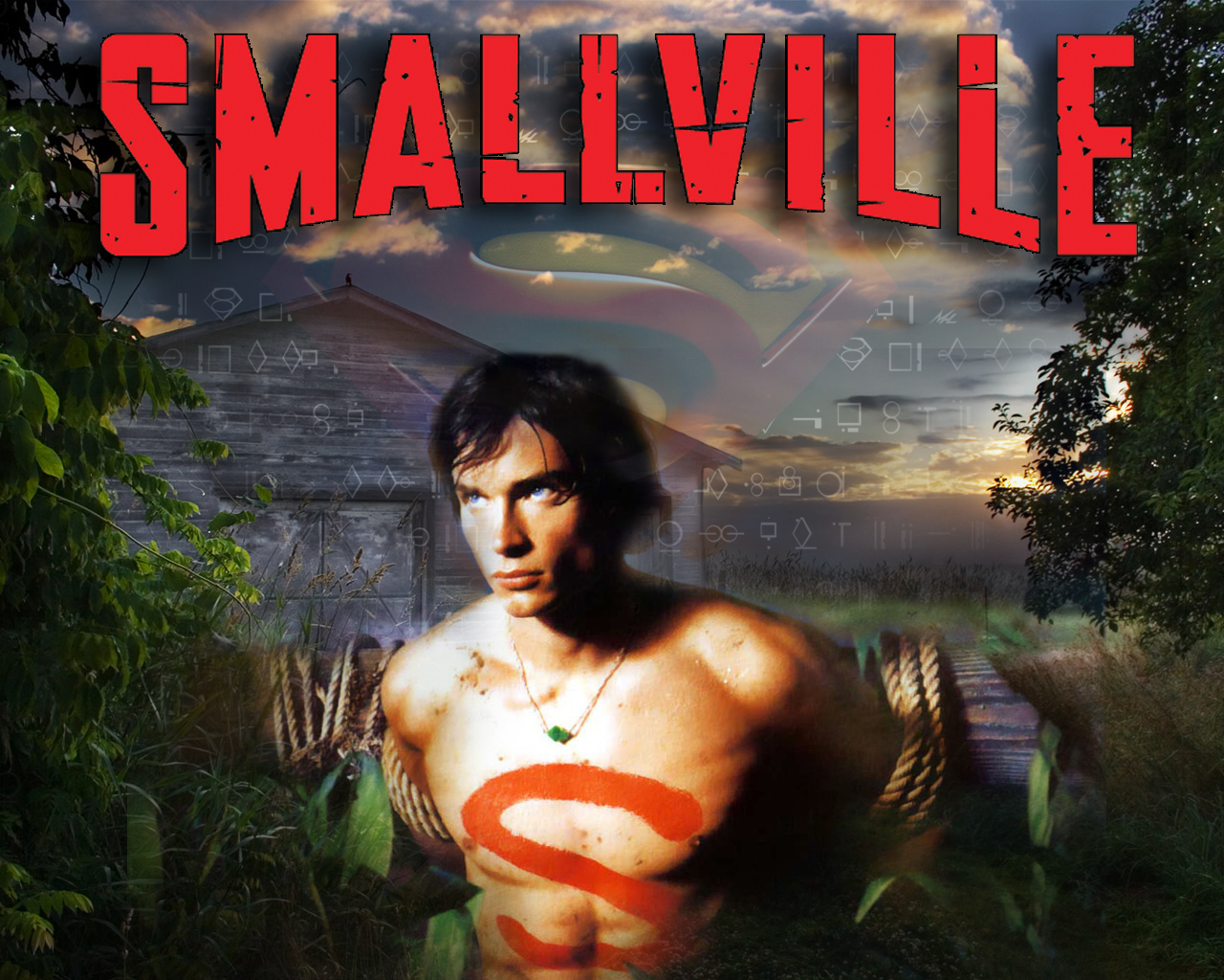 Smallville 7