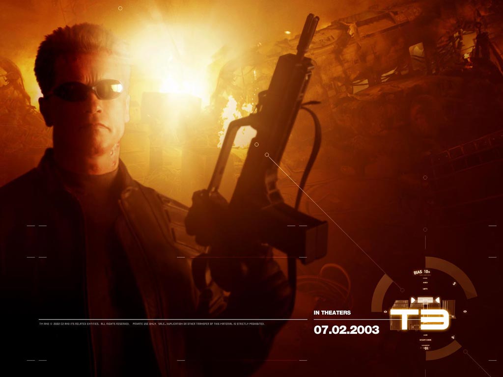 Terminator 17