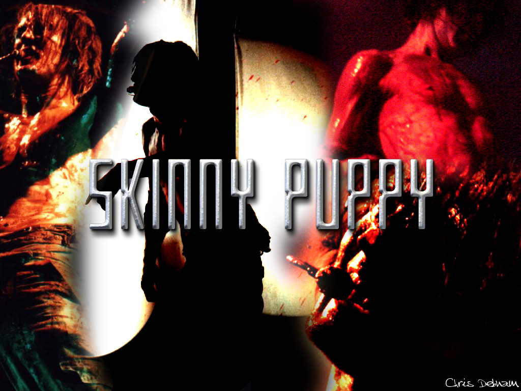 Skinny puppy 1