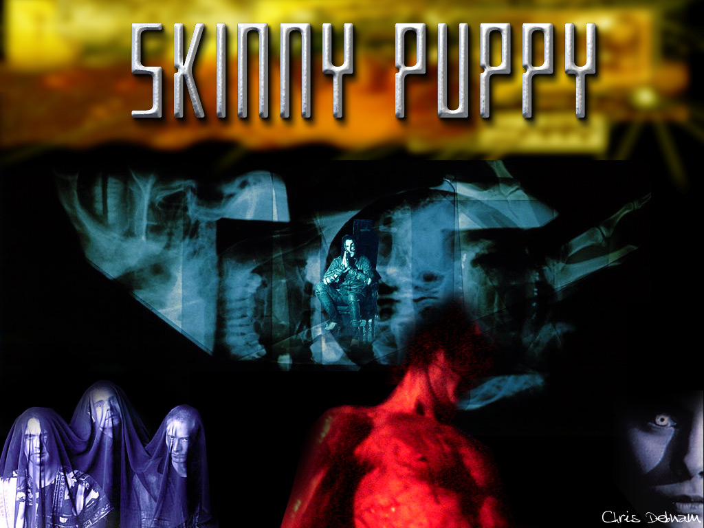 Skinny puppy 2