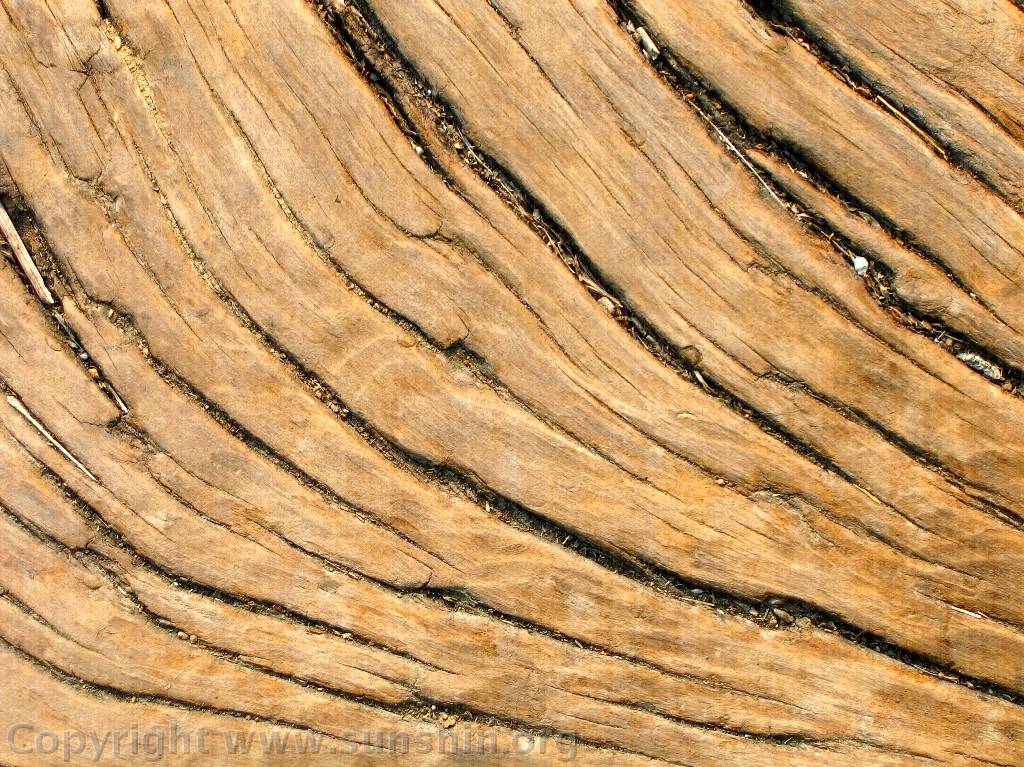 Wood 1