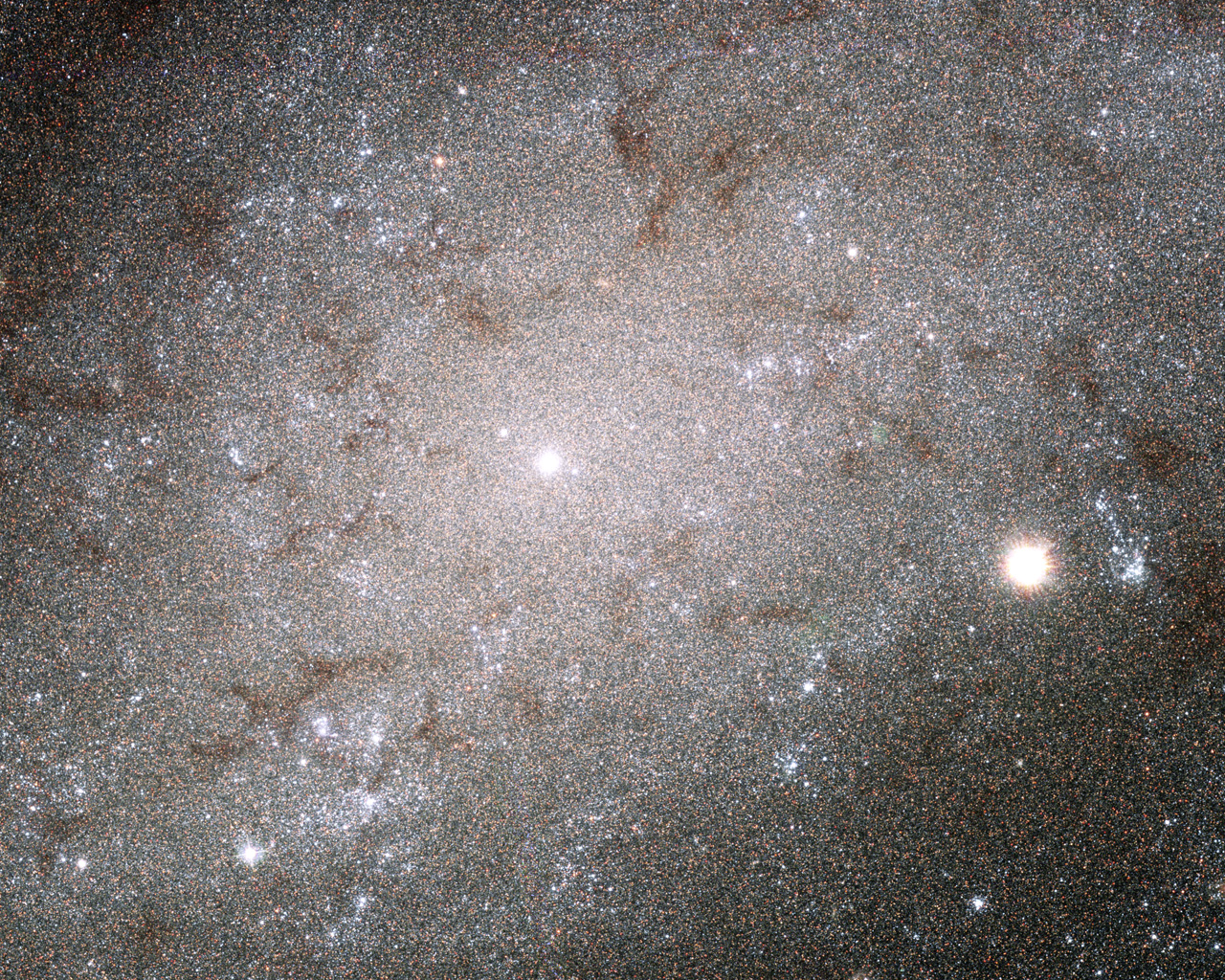 Galaxy 31