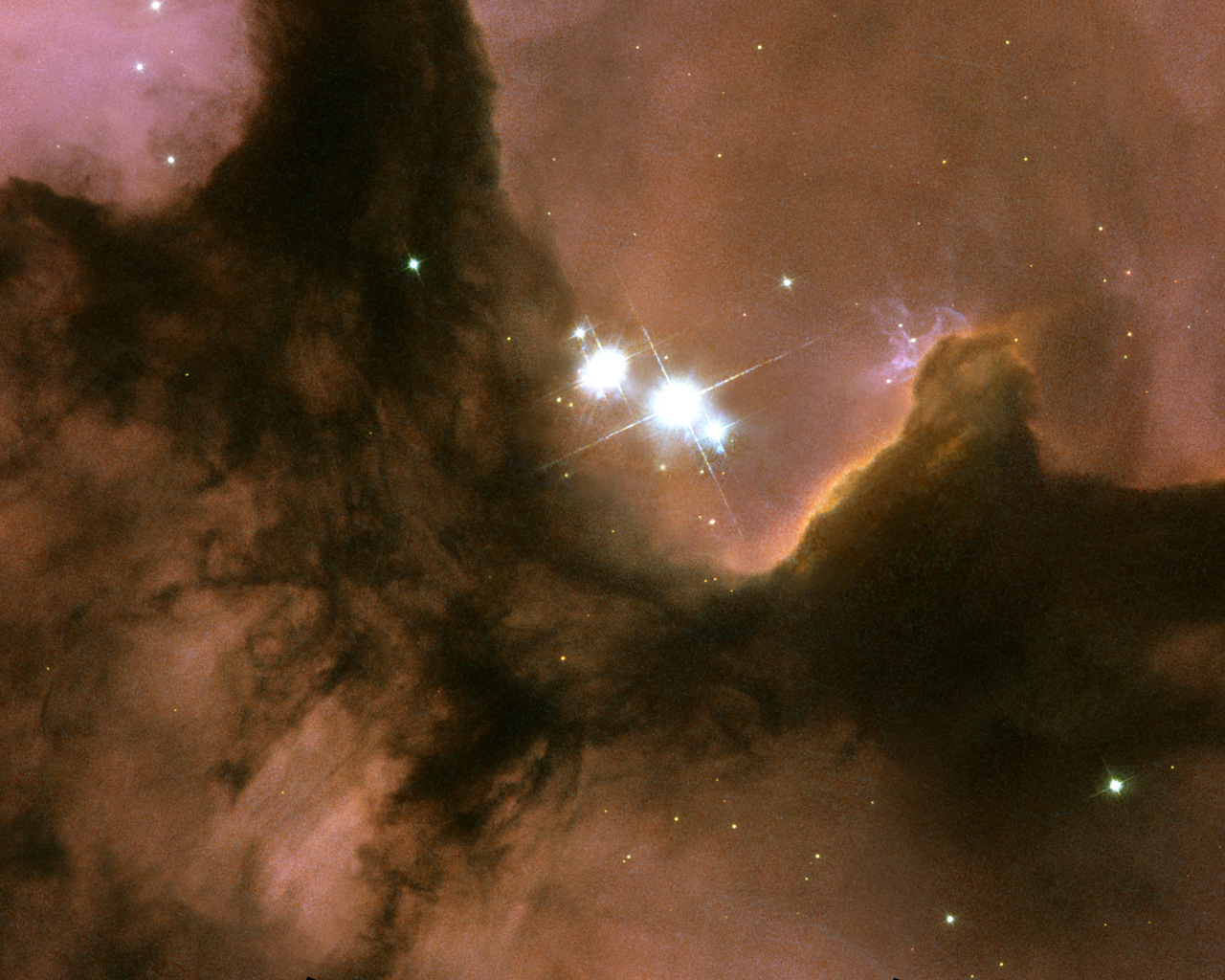 Nebula 40