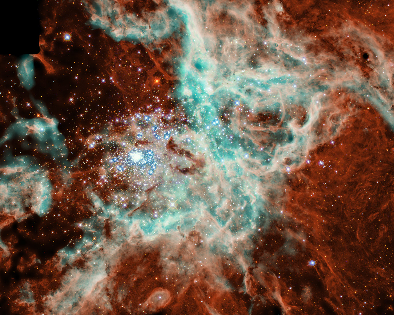 Nebula 55